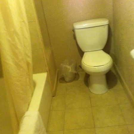 White Mountain Motel Springerville المظهر الخارجي الصورة